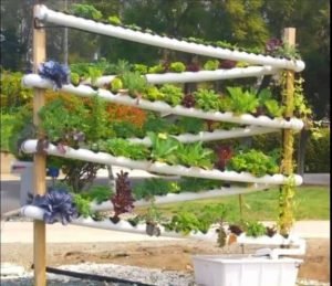 aquaponic vertical gardening