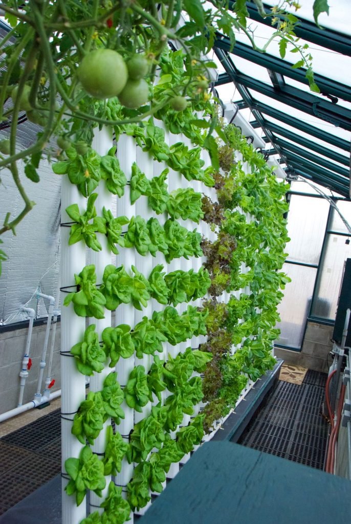 vertical aquaponics