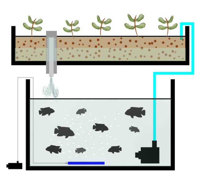 Is PVC Food Safe for Aquaponics? - HowtoAquaponic