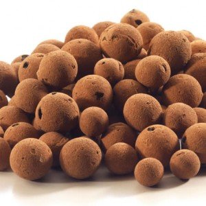 Hydroton or clay pebbles