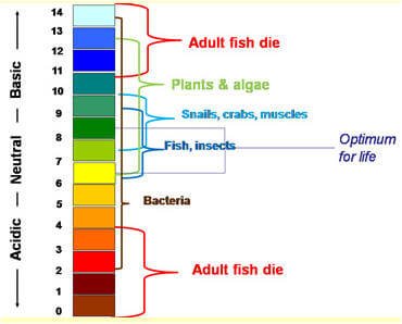 ph chart