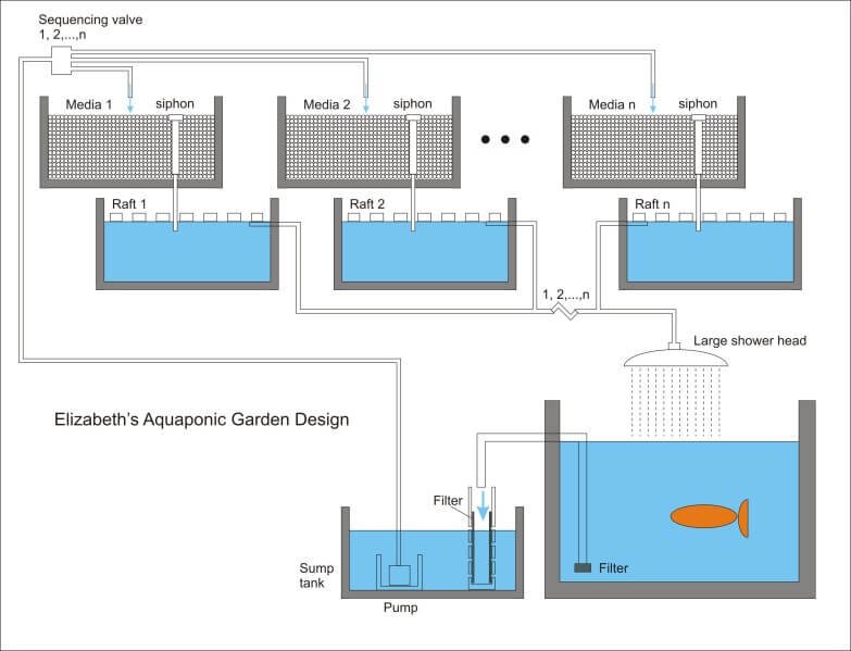 aquaponics garden setup