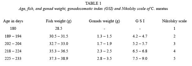 goldfish growth rate