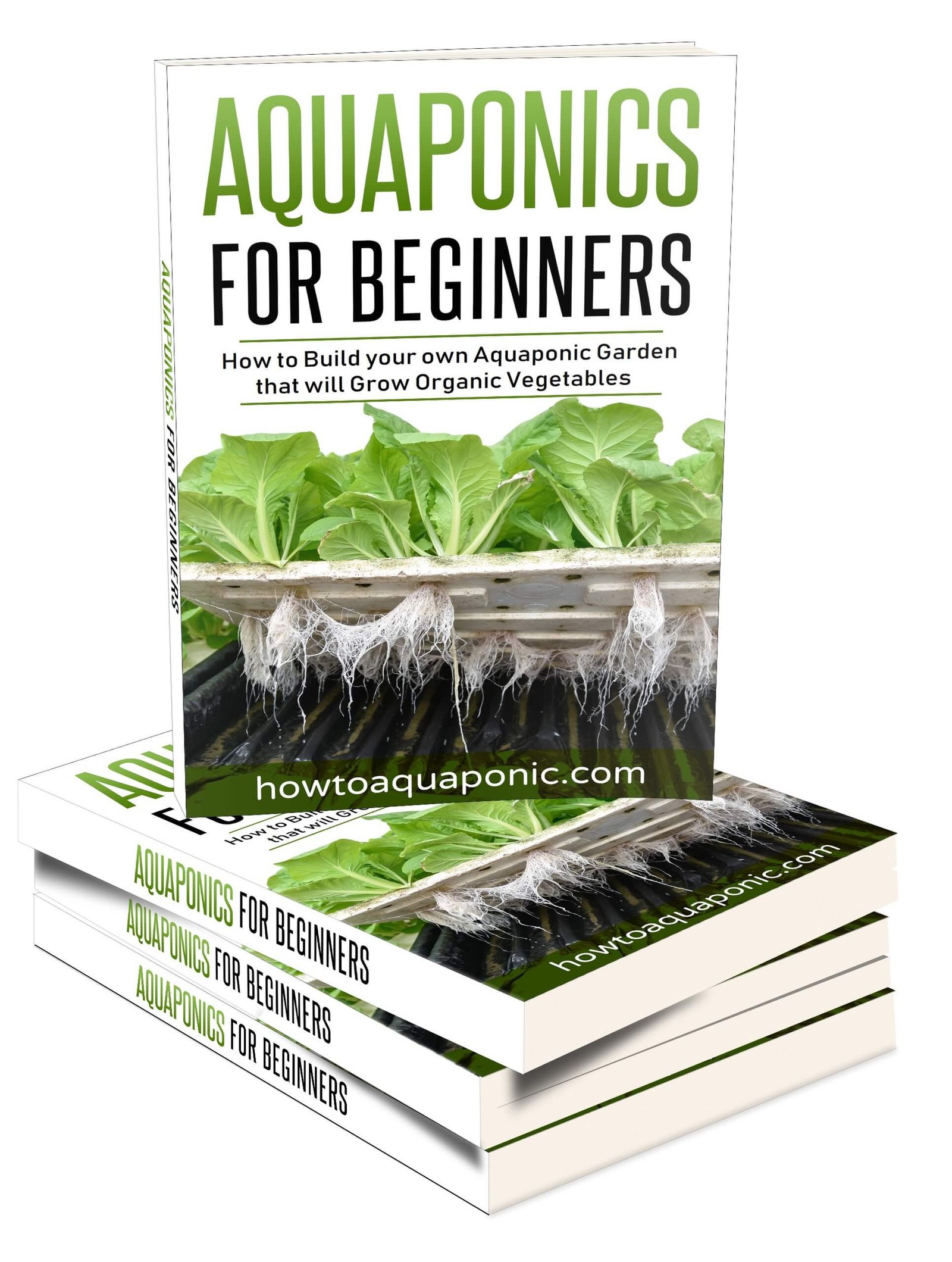 Catfish Aquaponics - How to Raise Catfish - HowtoAquaponic