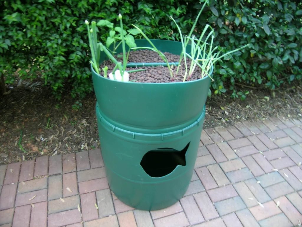 example of barrel aquaponics setup