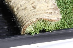 microgreens on hemp mat