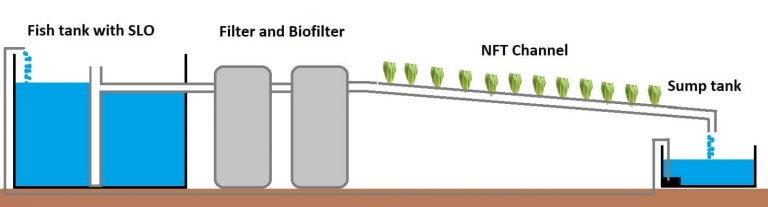 affordable home aquaponics garden - preparing for shtf
