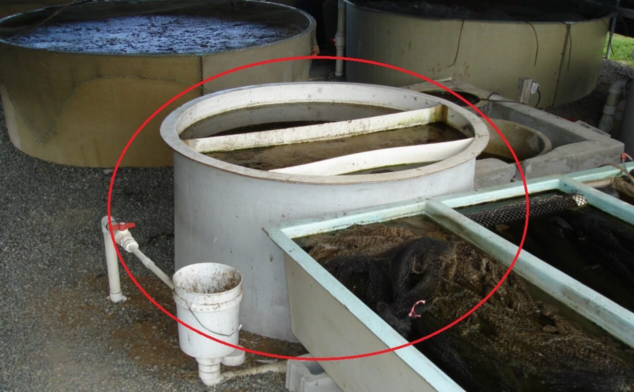 UVI aquaponics clarifier